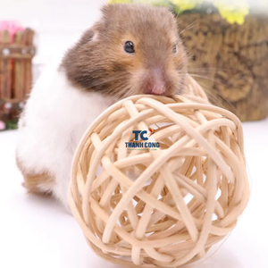 Juguete de bola de ratán de precio barato respetuoso con el medio ambiente para Conejo, hámster, ratán, juguetes para masticar para mascotas pequeñas, fabricado en Vietnam - Product Image 2
