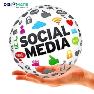 Logiciel de version d'entreprise de qualité professionnelle pour les consultants en éducation Services de gestion des médias sociaux Croissance ciblée - Product Image 1