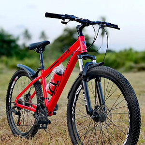 Bicicleta eléctrica de nuevo modelo, 3000W, alto torque, precio económico - Product Image 1