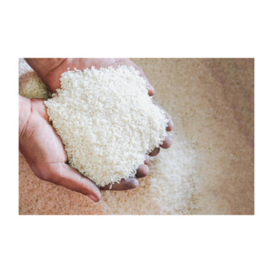 ข้าวหอมมะลิความบริสุทธิ์100%/ข้าวเมล็ดยาว - Product Image 5