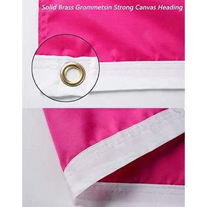 Paquete de 10 Banderas Bisexuales de 3x5 pies, Banderas Bi Resistentes para Exteriores Hechas en EE. UU., Bandera del Orgullo Bisexual de Colores Vivos en Poliéster - Product Image 4