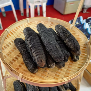 Pepino de mar natural seco al por mayor, pepino de mar seco envasado con proteínas y minerales esenciales en venta - Product Image 4