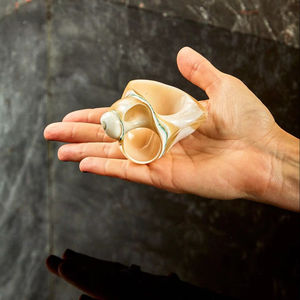 Mejor precio Natural Seashell Servilleta Decoración Vajilla/Turbo Shell Servilletero Anillo Náutico Mesa Decoración Fiesta Boda Regalo Artesanía - Product Image 1