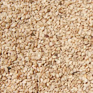 Hot SALE - FREE tax Dried Sesame in White, Yellow and Black - export worldwide - directly from fields