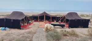 เต็นท์ขนแพะซาฮารา ที่พักอาศัยแบบดั้งเดิมของชนเผ่าพันธุ์โนมาดในทะเลทราย ปรับตัวให้เข้ากับสภาพภูมิอากาศ วัฒนธรรม และการใช้ชีวิตอย่างยั่งยืนในแอฟริกาเหนือ - Product Image 2