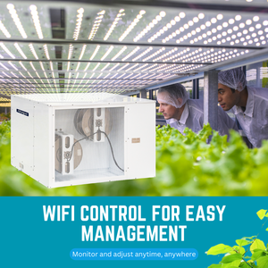 Déshumidificateur Quest pour l'agriculture verticale, contrôle d'humidité entièrement automatique, fonctionnement silencieux et efficace - Product Image 3