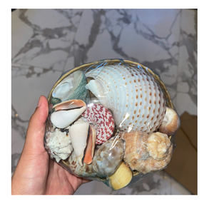 ชามเปลือกหอยสำหรับตกแต่งบ้านสไตล์เวียดนามสร้างด้วยเปลือกหอยธรรมชาติสำหรับการใช้งานตกแต่งบ้านที่หรูหรา - Product Image 1