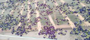 ลดกระหน่ำ2025ดอกบัวสีน้ำเงินแบบแห้งแบบพรีเมียมสีฟ้าเข้มสำหรับไอเดียทำอาหารสุดสร้างสรรค์ - Product Image 3