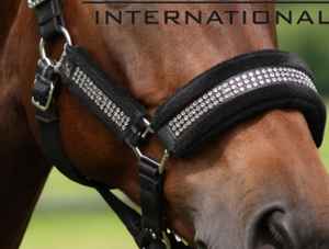 Cabestro de Lujo Internacional Rub con Cristales de Imitación, Acolchado de Forro Polar y Nylon, con Diamantes Brillantes, Premium para Equitación - Product Image 3