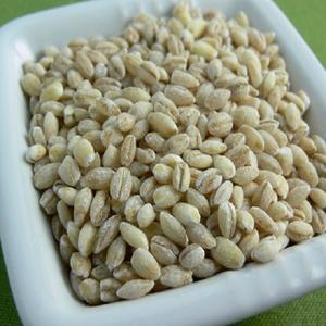 Aliments pour animaux d'orge de la meilleure qualité à vendre d'Inde - Product Image 3