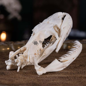 Figura esculpida de animales de resina de diseñador Tradebyd, decoración hecha a mano de lujo para interiores y regalos modernos para el hogar - Product Image 6