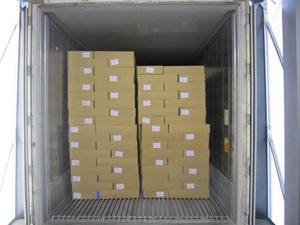 Tilapia noire congelée éviscérée IQF IWP Vente en gros Expédition rapide Origine ZA Durée de conservation de 12 mois Fabricant E$T Comestible - Product Image 2