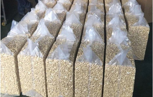 เม็ดมะม่วงหิมพานต์ sp/lp/W180 W240 W320ส่งตรงจากโรงงาน - Product Image 6