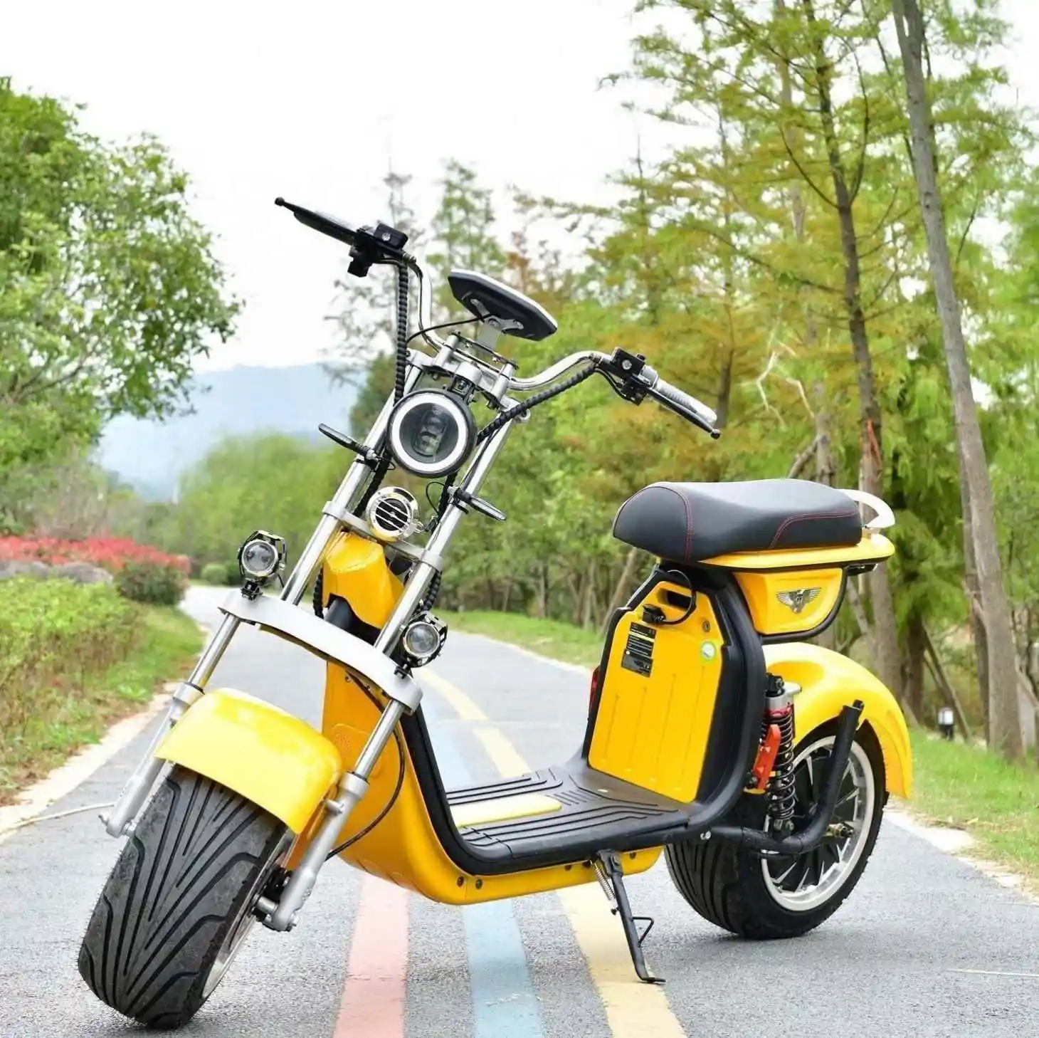 Scooter eléctrico chino de Golf, Scooter rápido de rueda grande, dos ruedas, barato, almacén Holland Dro