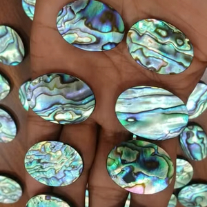 เปลือกหอยเป๋าฮื้อธรรมชาติทรงหลังเบี้ยขัดเงา สำหรับทำเครื่องประดับ รูปทรงคละแบบ สำหรับบำบัดรักษา  ลดราคาพิเศษ - Product Image 6