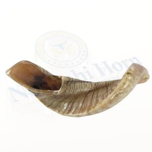 Shofar de cuerno de carnero natural para ceremonias religiosas, uso espiritual y exhibición decorativa elaborada con acabado tradicional y sonido profundo - Product Image 4