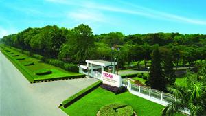 Alimentación animal de alta proteína Mínimo 60% Estilo seco con fuente de melaza Reemplazo de SBM para peces Cerdos Ganado Camarones Uso animal - Product Image 4