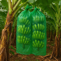 Sac banane en plastique d'usine du Vietnam pour la protection de la croissance sac de couverture de fruits PE bleu vert pour l'utilisation d'agriculture de ferme en gros