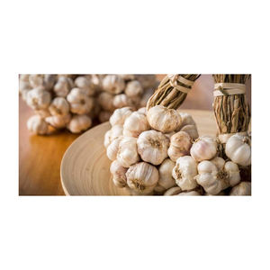 Ajo Blanco Normal Fresco Orgánico de Bélgica, 12 Meses de Duración - Product Image 1