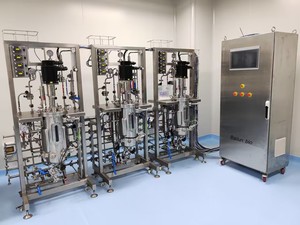 เครื่องปฏิกรณ์เคมีสำหรับหมักอาหารวัคซีน30L-300L เครื่องปฏิกรณ์ชีวภาพเครื่องปฏิกรณ์ BLBIO-SJA - Product Image 4