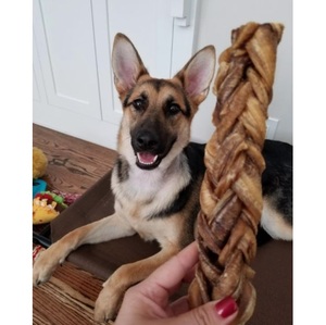 Delicious Raw Animal Protein Sticks for Dogs Natural Indian Buffalo <b>Pizzle</b> - Product Image 1