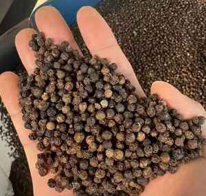 Exportación a granel de alta calidad de tipo de procesamiento crudo de pimienta molida entera y seca-para jaulas de animales - Product Image 3