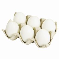 Telur Puyuh Segar Berkualitas Terbaik, Kelas Atas, Cangkang Coklat dan Putih, Siap Dijual