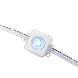 24V Outdoor RVB Point Pixel LED Lights IP67 Plastic for Christmas Holidays Theme Parks Eaves Lighting Permanent Outdoor LED - Product Image 1