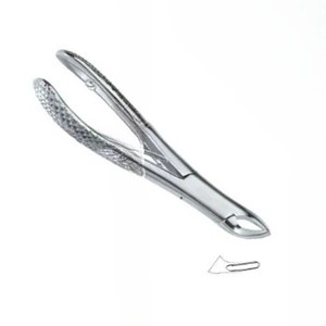 Fórceps de extracción de dientes dentales personalizados de calidad superior Fig.151 SK Logo Instrumentos dentales de acero inoxidable - Product Image 4