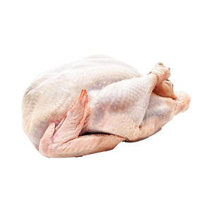 Dinde entière congelée certifiée Halal, qualité exportation usine, fournisseur en gros, logistique mondiale - Product Image 1