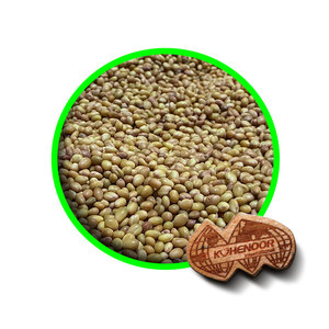 Trèfle Berseem | Apport précieux dans l'élevage - Product Image 5