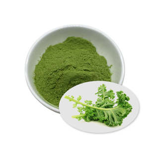 IQF Frozen Chopped Kale (-18C 24-Month Shelf Life) 100% Natural Ready-to-Cook Bulk Export Supply (10/20kg Cartons) - Product Image 2