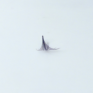 Meilleur prix ELFA Beauty Niche pour extensions de cils en fibre PBT coréenne faites à la main, effet doux et vaporeux/camélia, design unique, populaire et nouveau - Product Image 4