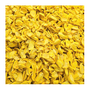 Fournisseur en gros de qualité supérieure Chips de jacquier séchées et frites 100% goût sucré naturel en vrac Prix bon marché d'exportation - Product Image 3