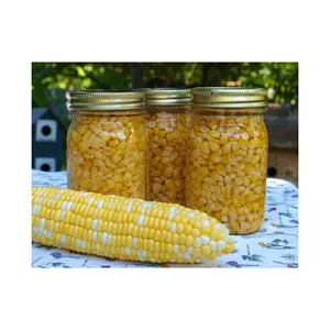 high quality canned sweet corn fresh yellow vegetable healthy snack low sugar keep fit wholesale OEM