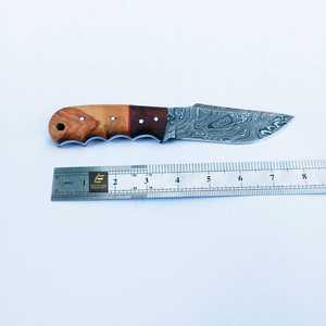 Vente chaude Damas Skinner Couteau Lame Fixe Chasse Et Survie couteau extérieur Couteau Avec Manche En Bois - Product Image 6