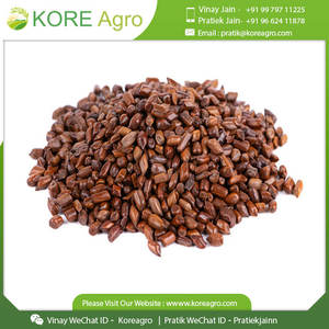 เมล็ดขี้เหล็กสำหรับชงชาสมุนไพรแบบดั้งเดิม - Product Image 2