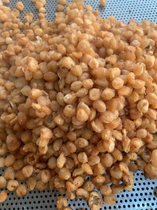 Textura no fibrosa tierna y carnosa seca de Longan Vietnam para una experiencia alimentaria superior Fruta a granel más vendida - Product Image 6