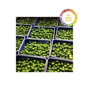 Hot Sale <b>Fresh</b> <b>Citrus</b> <b>Fruit</b> Seed Free Lime From Vietnam For Export With Competitive Price High Quality And Good Taste - Product Image 1