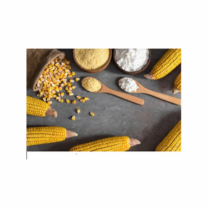 Maltodextrina DE 18-20 Grado Alimenticio 25kg De Almidón De Maíz Grado Alimenticio Almidón De Maíz 25kg Con Precio Marcas Fabricantes - Product Image 6