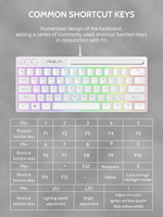 Clavier d'ordinateur AULA F3061 blanc à membrane USB 2.0 TKL mini 61 touches RGB portable pour jeux avec mécanique Gateron, état neuf