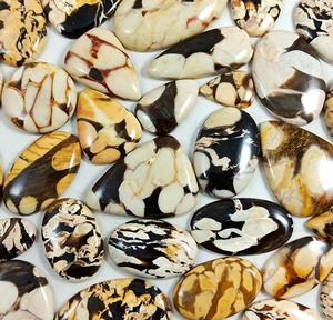 Piedra preciosa semipreciosa pulida cabujón de jaspe de madera de cacahuete natural para la fabricación de joyas, suministro a granel al por mayor - Product Image 3