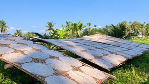 Papier de riz au lait de coco: Une collation savoureuse | Papier de riz vietnamien avec OEM - Product Image 2