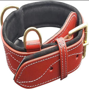 COLLAR DE PERRO DE CUERO RESISTENTE PERSONALIZADO CON Acolchado Suave y Herrajes de Latón en TODOS LOS TAMAÑOS - Product Image 4