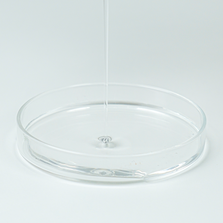 โปร่งใส