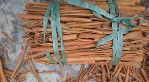 Canela seca de Casia dividida a bajo precio de Vietnam a pedido - Product Image 2