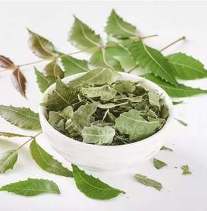 Exportateurs et fournisseurs en gros de feuilles séchées de Neem organique utilisées pour construire le métabolisme dans notre corps disponible avec une bonne qualité - Product Image 1
