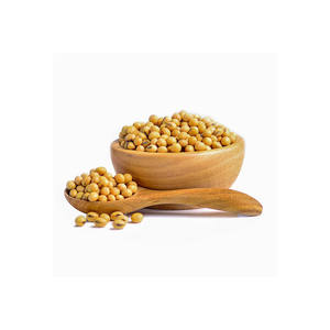 Soja jaune sans OGM de haute qualité 8.0mm soja pour la production alimentaire et animale - Product Image 2