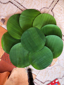 ใบตองเวียดนามแช่แข็งคุณภาพสูงบรรจุภัณฑ์จำนวนมากจาก Kim Minh International - Product Image 3