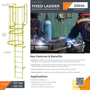 Fixed Steel <b>Ladder</b> with Safety Cage for Emergency Exit Roof Access Vietnam Factory OEM ODM International Quality Sale - Product Image 2